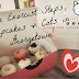 The Exorcist Steps, Cupcakes & Cats in Georgetown!