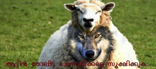 http://4.bp.blogspot.com/-IUT34SPWMV0/U-uMARqQQ9I/AAAAAAAAA2s/K-PzrDqVHp0/s1600/wolf-sheep.jpg