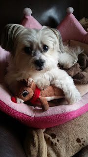 Buffy with her Reindeer friend