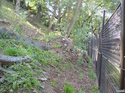 大阪城公園 大阪城公園
