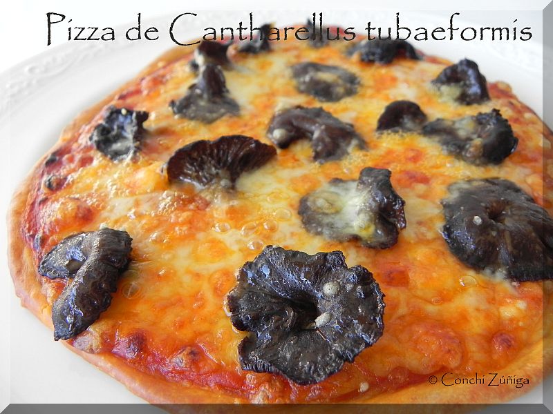 pizza+cantharellus.jpg