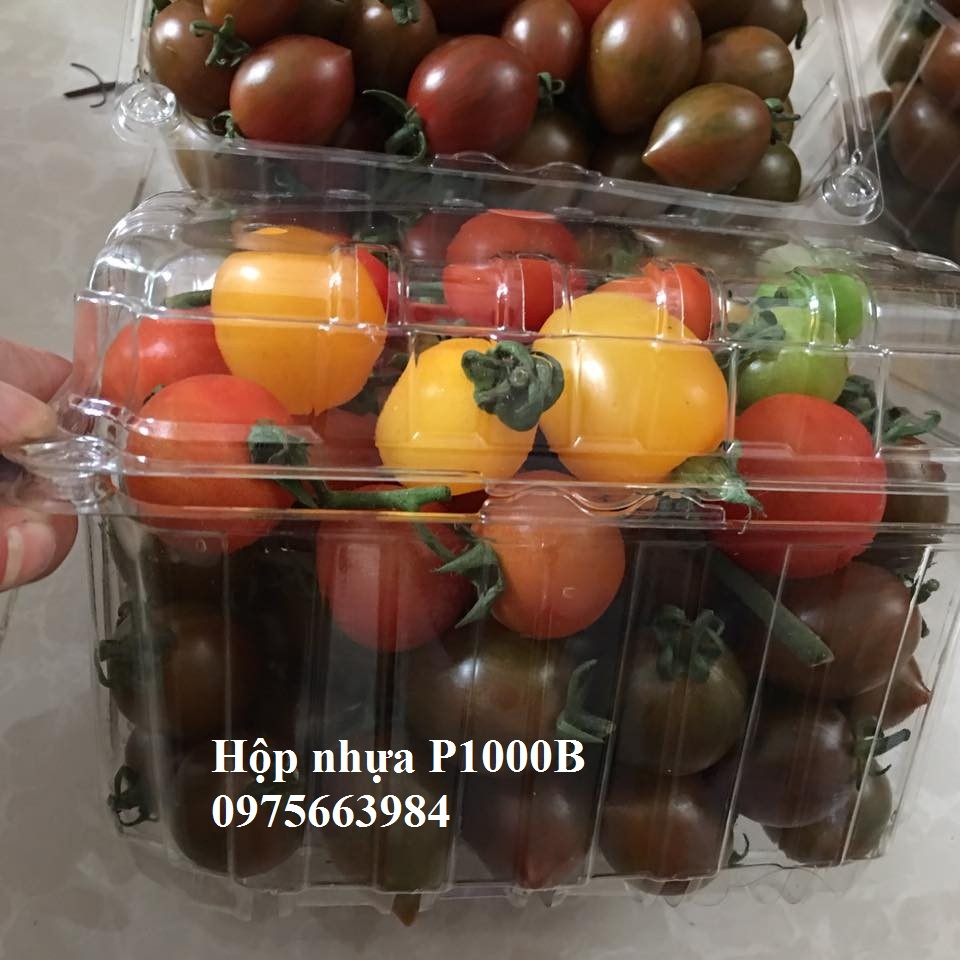 Hop nhua trong dung 1kg ca chua bi dung 1 lan