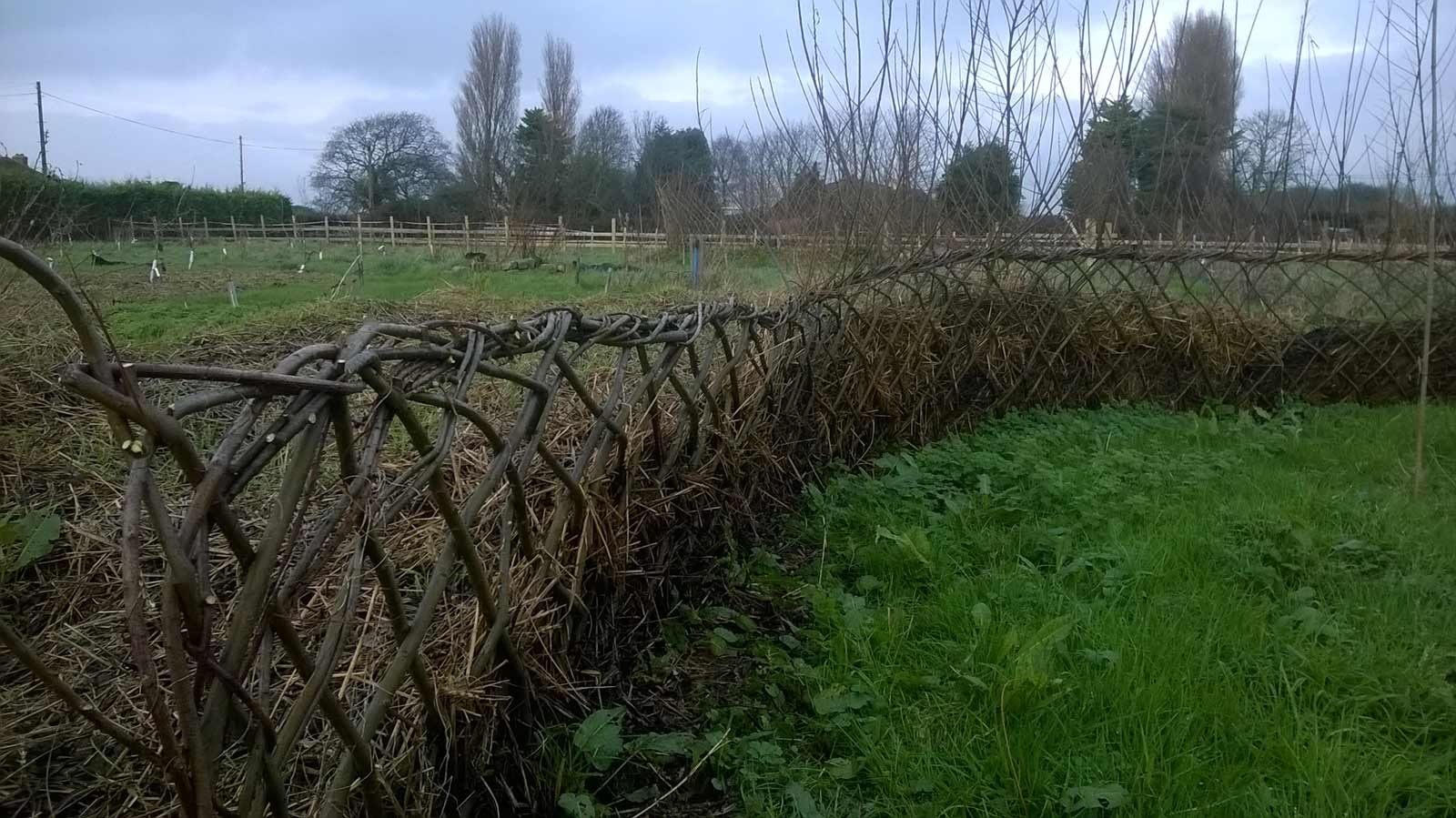 Tips for live fencing