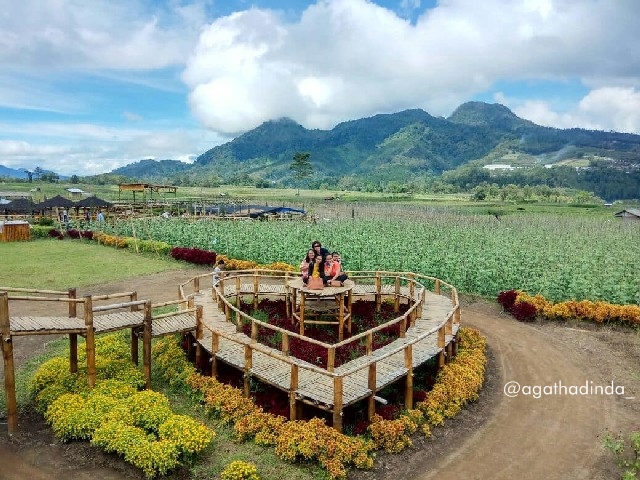 Cafe Sawah Pujon Menawan Dengan Spot Foto Terbarunya Spot foto terbaru cafe sawah pujon