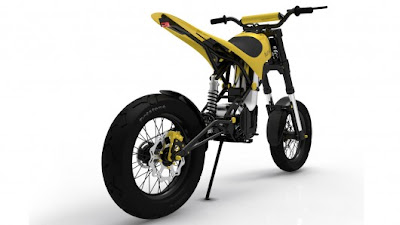 aceshin electric bike