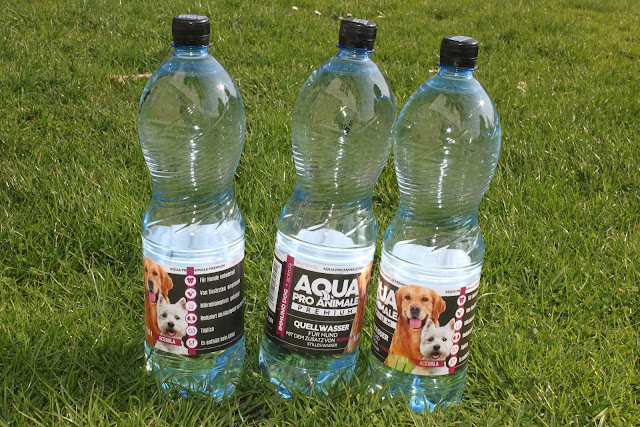 Aqua Pro Animale (woda dla psa) - recenzja