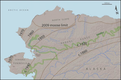 Twentieth century warming allowed moose to colonize the Alaskan tundra