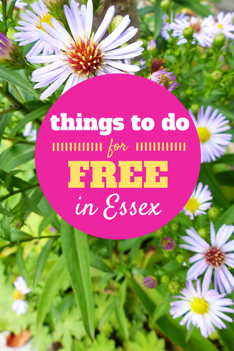 Things To Do For Free In Essex: Hainault Forest Country Park