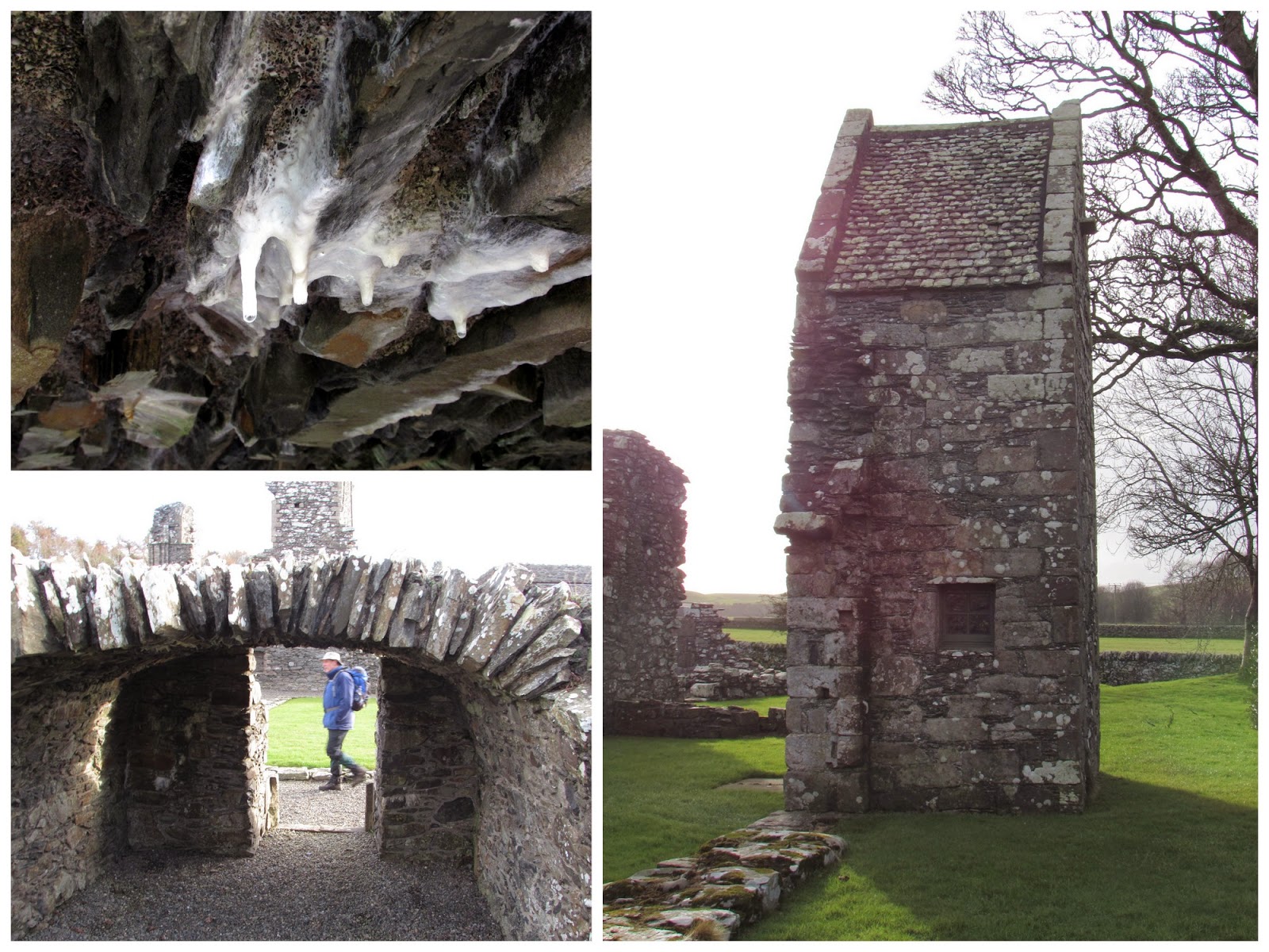 The Glebe Blog Wigtownshire RamblersSt Helena IslandGlenluce Abbey January 2015