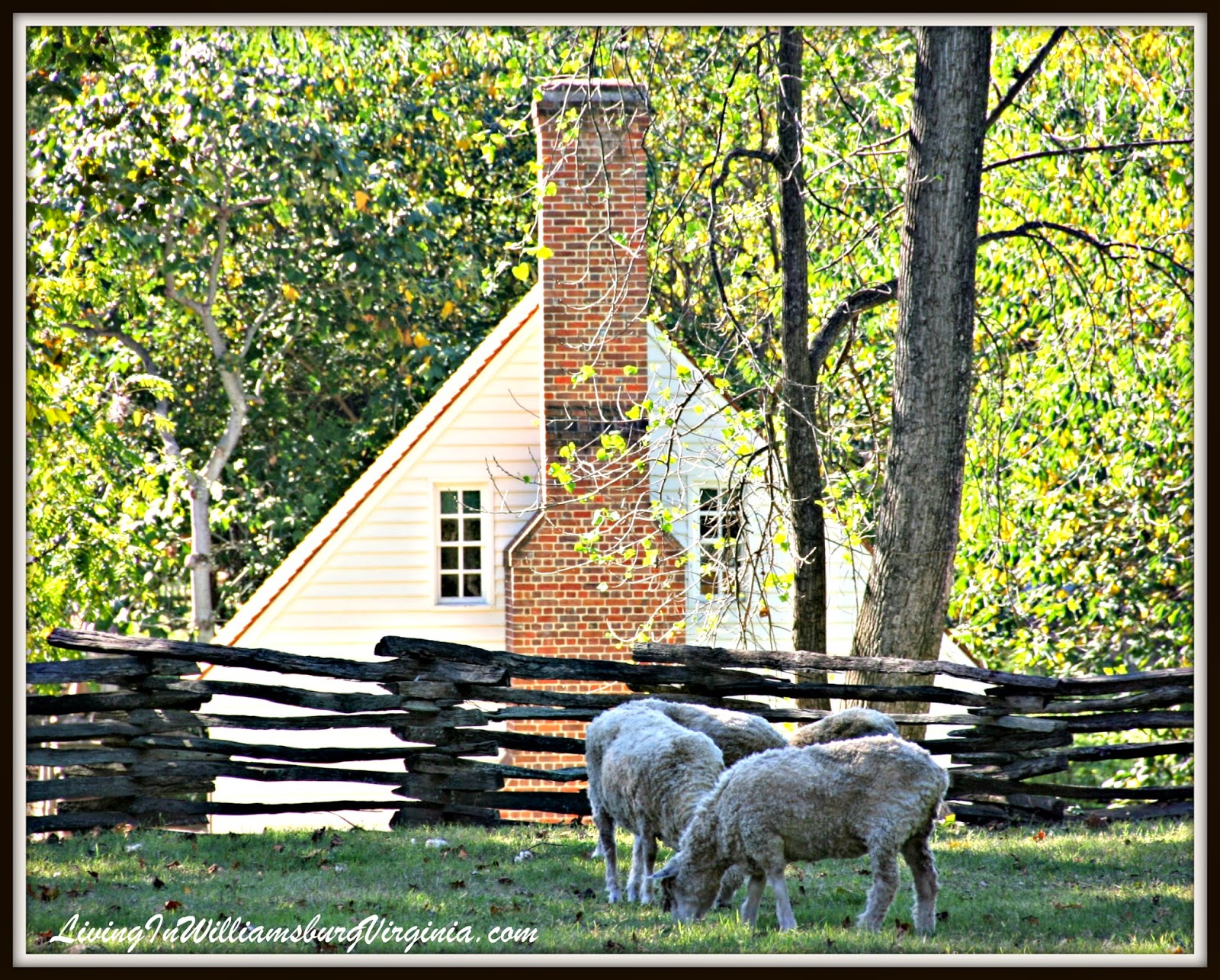 Living In Williamsburg, Virginia Urban Farm, Colonial Williamsburg