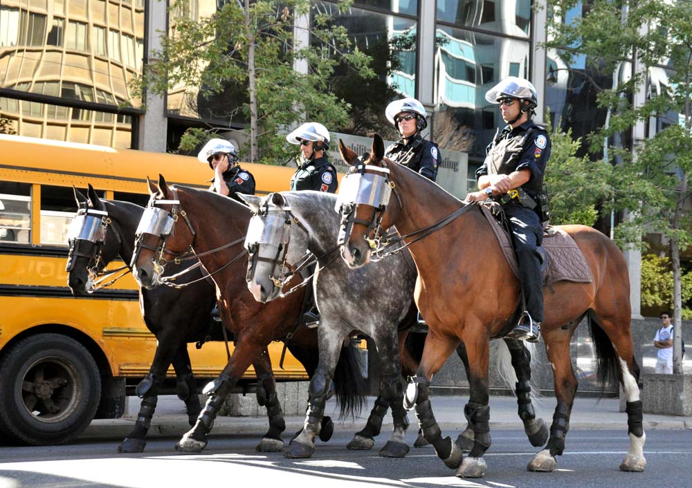 Toronto Grand Prix Tourist A Toronto Blog Police Horses to go to