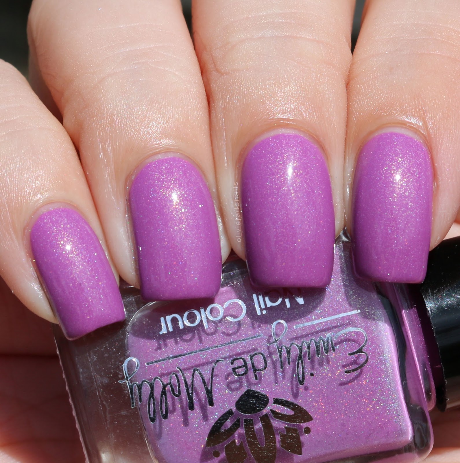 Emily de Molly LE55 swatched by Olivia Jade Nails