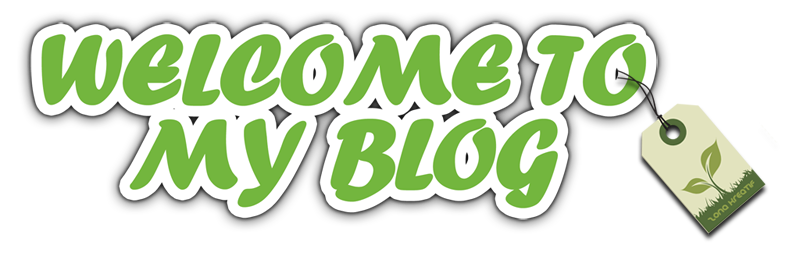 Welcome To My Blog