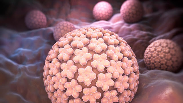 https://www.sciencemag.org/news/2015/06/hpv-vaccine-one-dose-goes-long-way