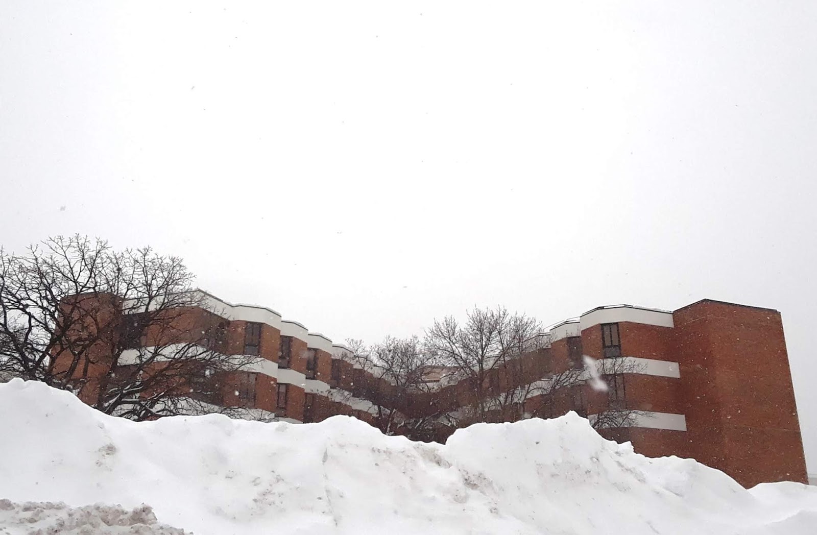 The Wild Reed: A New Snowfall Record