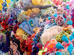 coral reef colorful florida most reefs colourful corals rarest things conjunction similar project around crochet