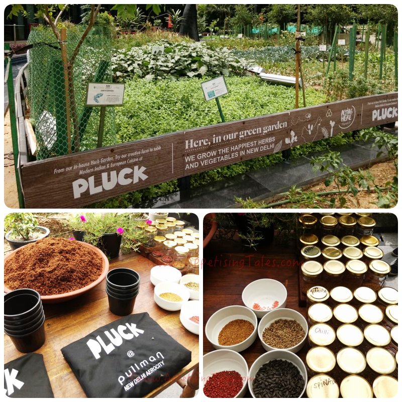 Appetising Tales Pluck S Kitchen Garden Ensures That The Freshest