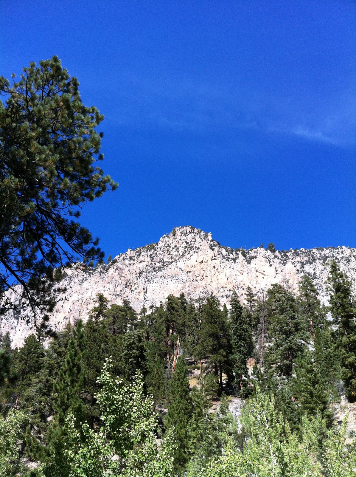 Hiking At Mount Charleston, NV