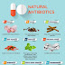 Αντιβιοτικά της φύσης -Natural antibiotics
