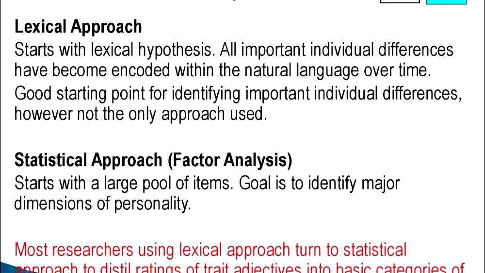 Lexical hypothesis