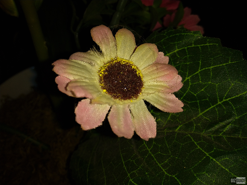 Lowlight close up with flash Lowlight close up with flash