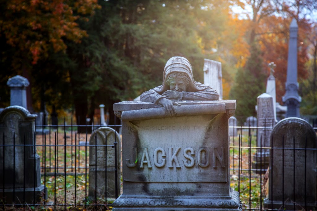 Mitch's Random November 2013