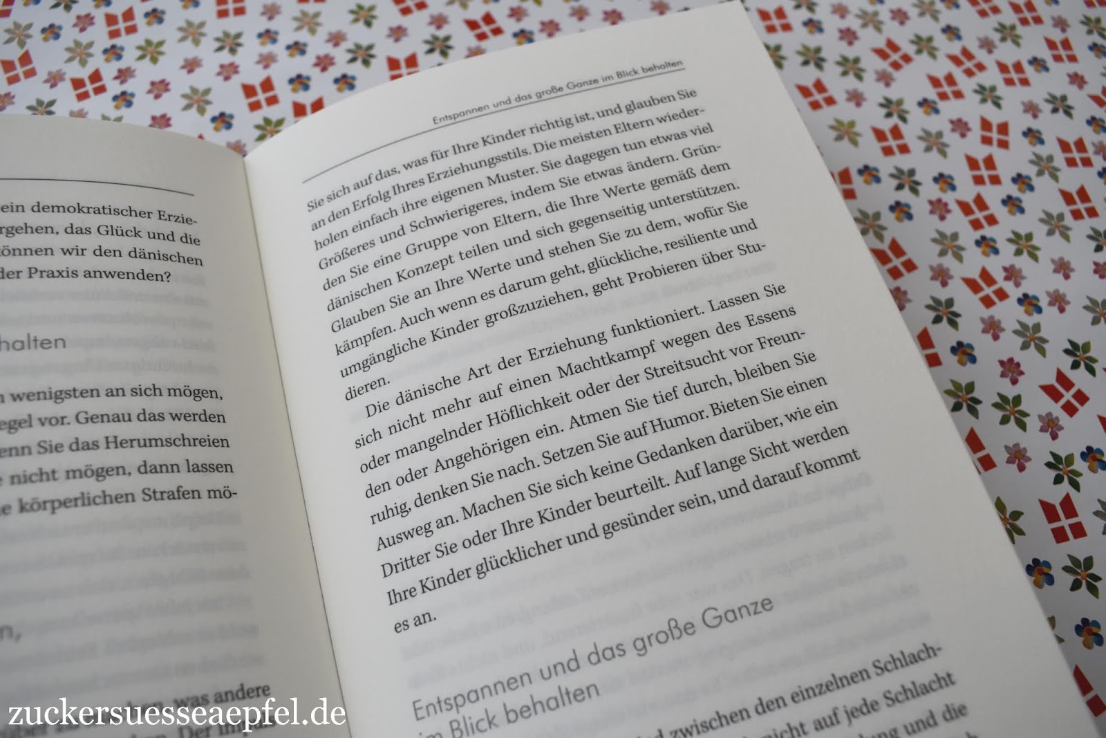 Marions Neurodidaktik Blog Lernen Kann Spass Machen