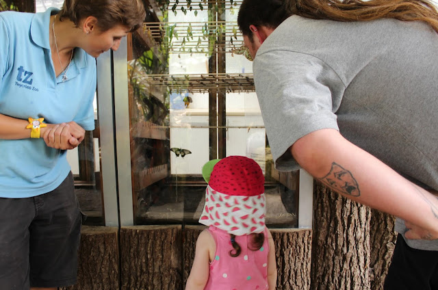 Exploring Twycross Zoo A review of Twycross Zoo