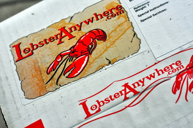 Lobster Anywhere Package | Taste As You Go Lobster Anywhere Package | Taste As You Go