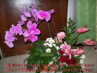 bunga meja anggrek bulan florist surabaya murah dan online