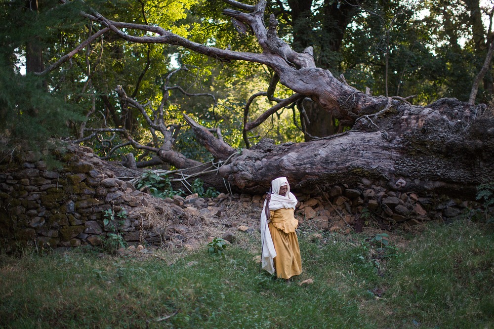 Ethiopia’s Church Forests Ethiopia’s Church Forests