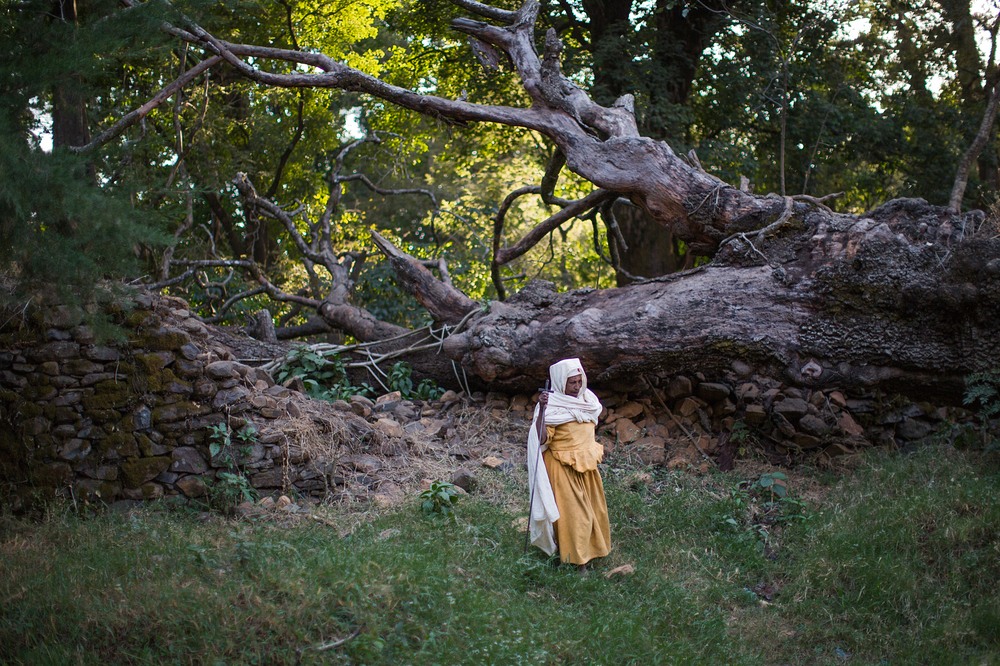 Ethiopia’s Church Forests