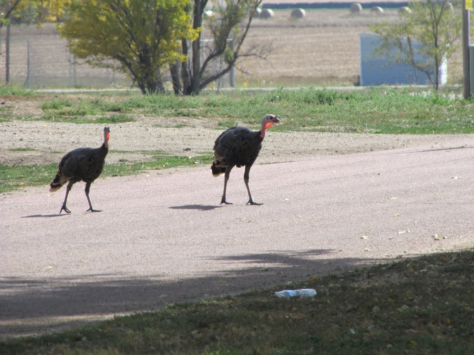 jeanzpix VOLIN, SOUTH DAKOTA