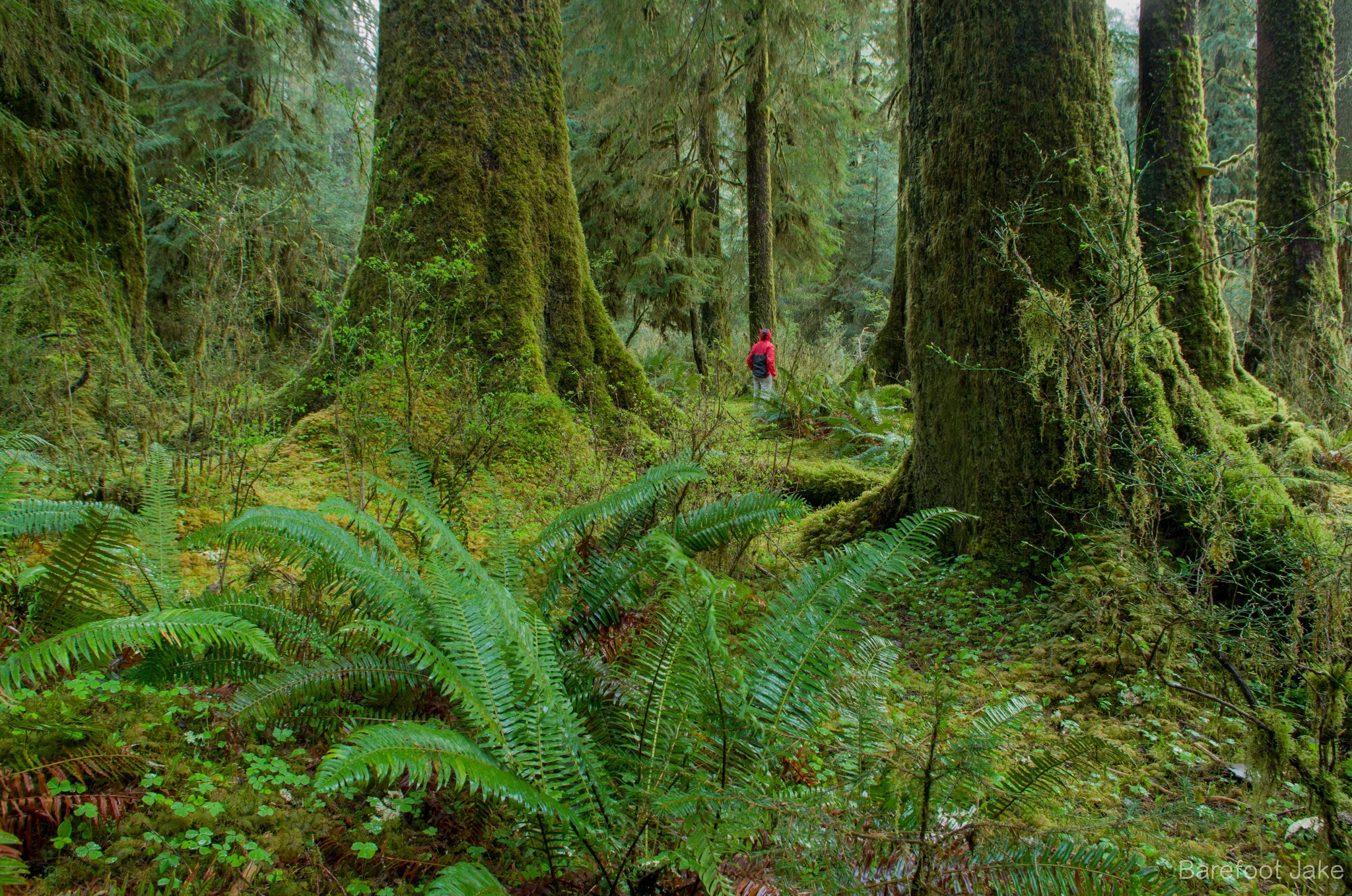Finding Wilderness in Yourself
