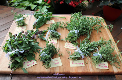 Herb Harvest by Easy Life Meal & Party Planning - Thyme, Basil, Oregeno, Rosemary, Cilantro