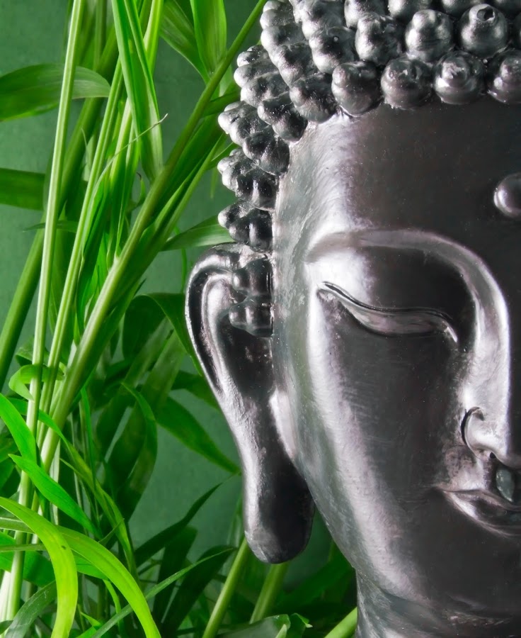 Los 53 Sutras de Sidharta Gautama Buda . Sutras 2, 3, 4