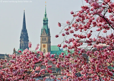 Frühlingsblick auf das Hamburger Rathaus mit St. Nikolai Frühlingsblick auf das Hamburger Rathaus mit St. Nikolai