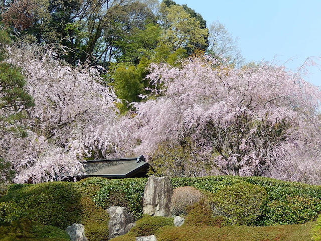 �����@�̎}�����