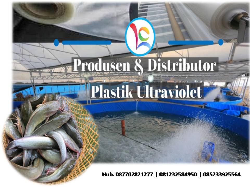 Rasakan Manfaat Dari Mengaplikasikan Plastik Uv Untuk Atap Bak
