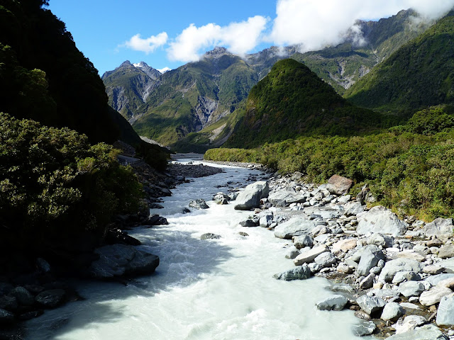 scenic fox glacier