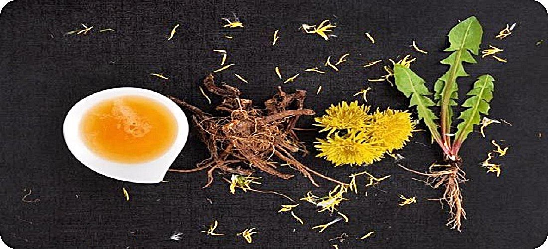El Diente de Leon o Taraxacum officinalis es anticancerígeno. diente-de-leon