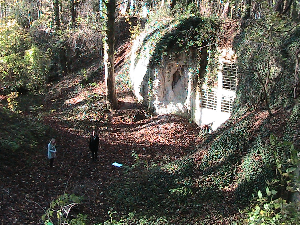 sammortimermedia: November 2011