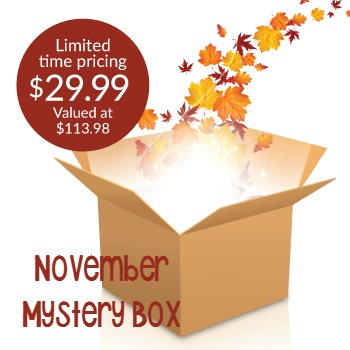 Pause Dream Enjoy: Cricut November Mystery Box Ends Tomorrow!