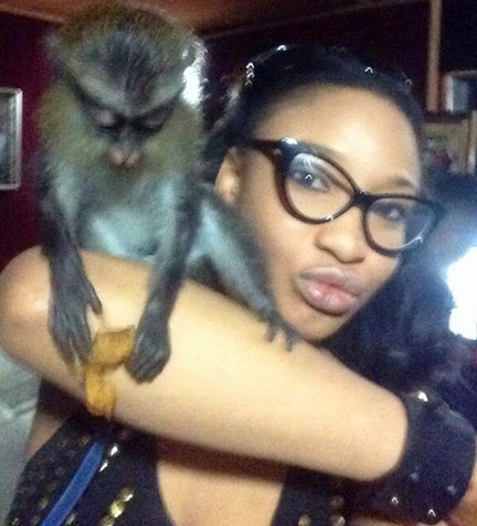 tonto dikeh monkey pet