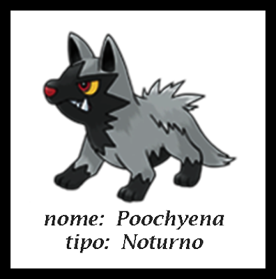 skitty and poochyena