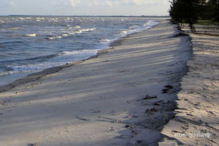 pantai nyiur melambai lalang belitung timur