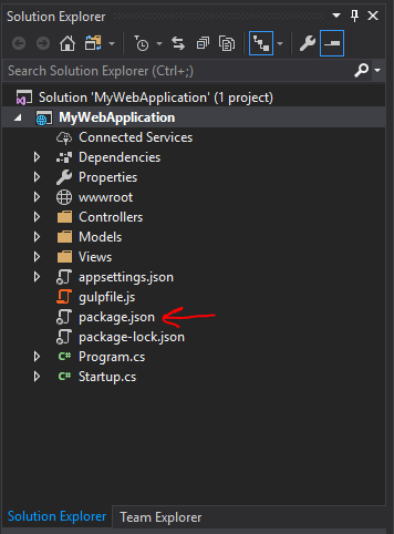 Adding the package.json file