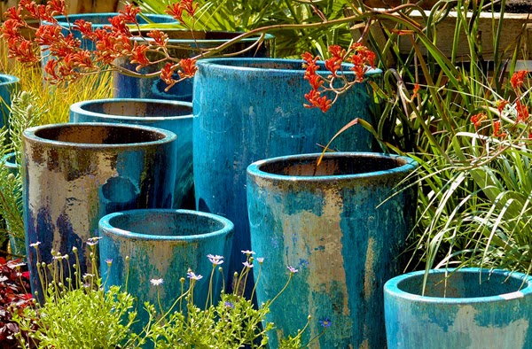 outdoor ceramic pot: How to Maintain Outdoor Glazed Ceramic Planters