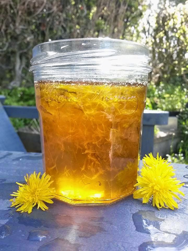 Dandelion Jam & Nettle Soup Foodie Quine Edible Scottish Adventures