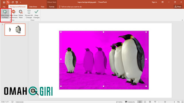 Menghapus Background Foto Dengan Powerpoint Mark Areas To Keep fungsinya untuk menyeleksi area yang tidak ingin terhapus